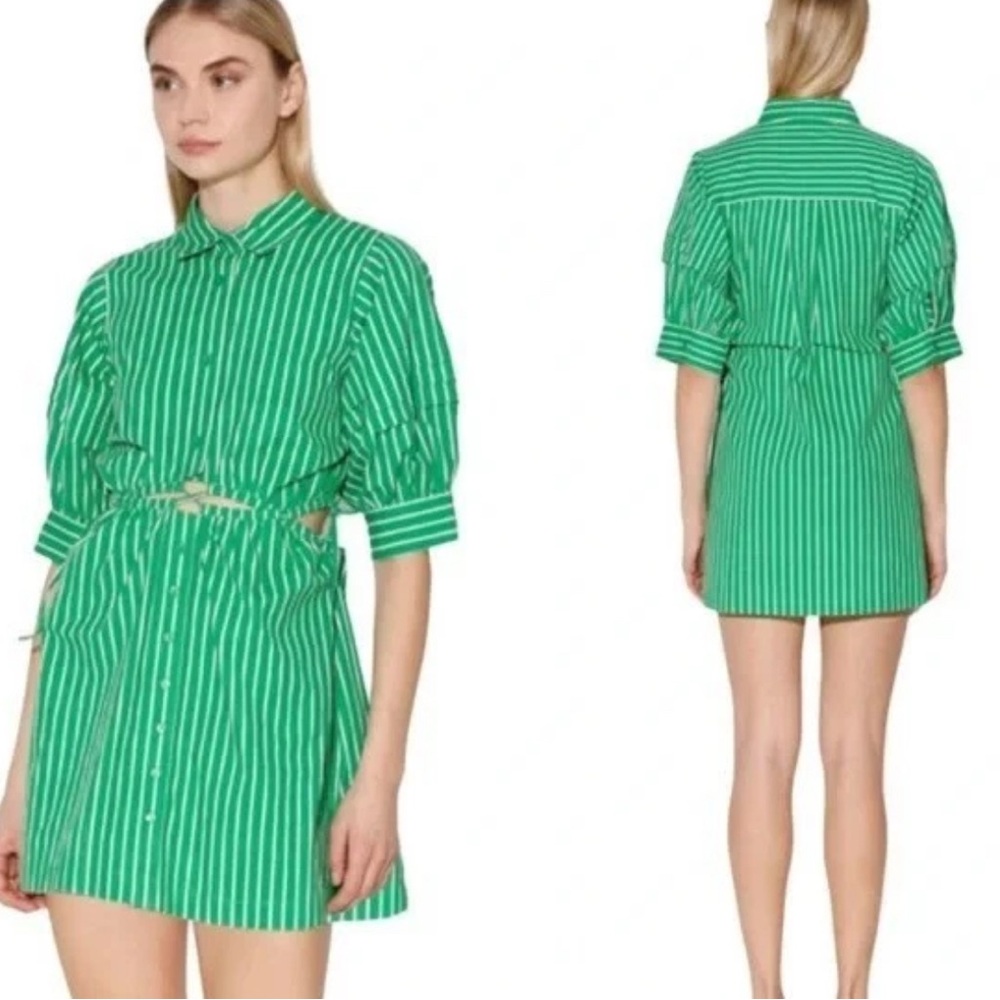Walter Baker Green & White Striped Shirt Dress